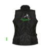 hondensportvest Fun Dream D4M groen Logo I