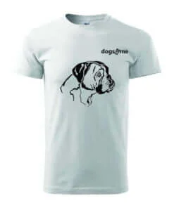 t-shirt boxer wit